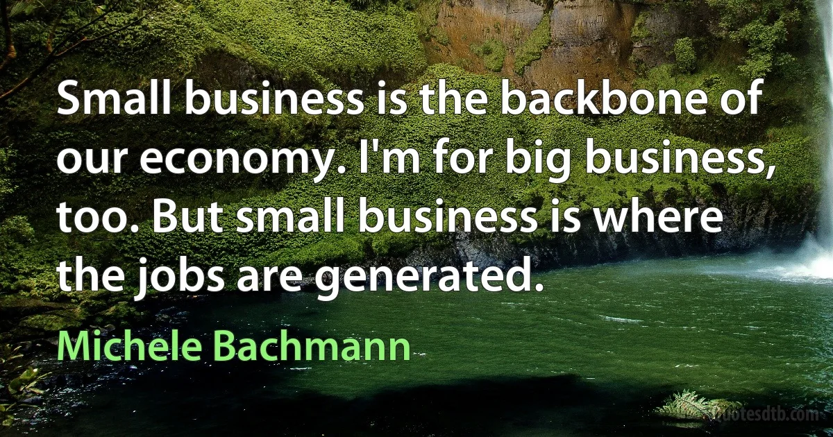 Small business is the backbone of our economy. I'm for big business, too. But small business is where the jobs are generated. (Michele Bachmann)