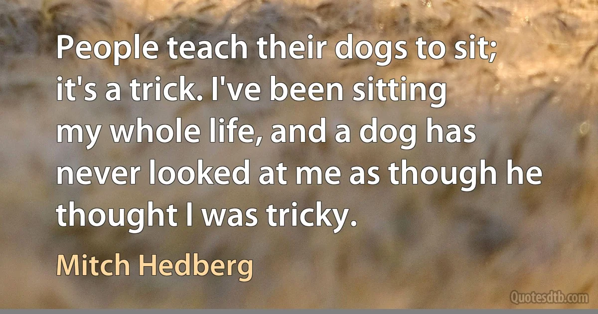 People teach their dogs to sit; it's a trick. I've been sitting my whole life, and a dog has never looked at me as though he thought I was tricky. (Mitch Hedberg)