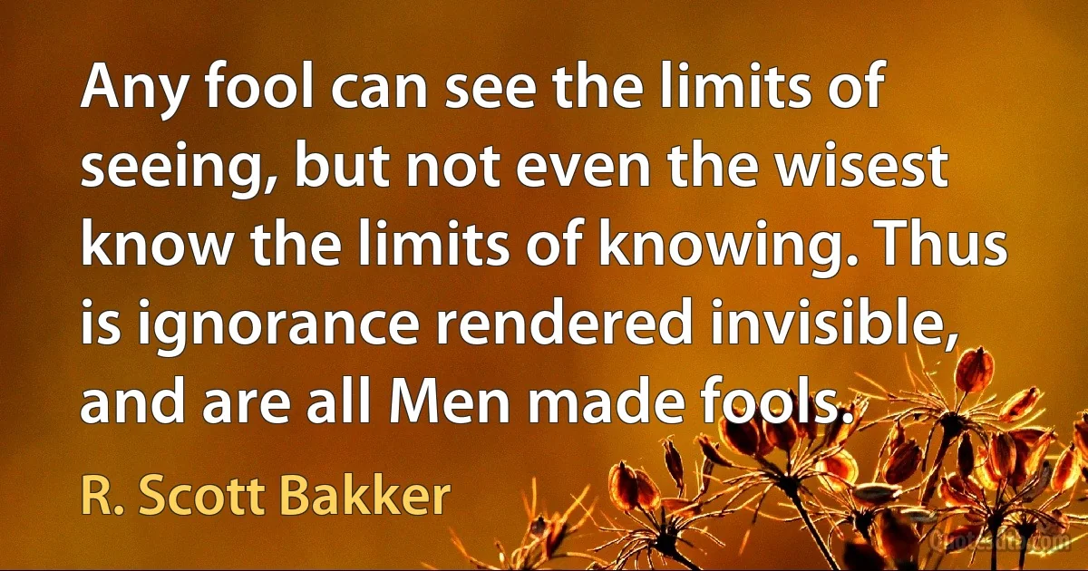 Any fool can see the limits of seeing, but not even the wisest know the limits of knowing. Thus is ignorance rendered invisible, and are all Men made fools. (R. Scott Bakker)