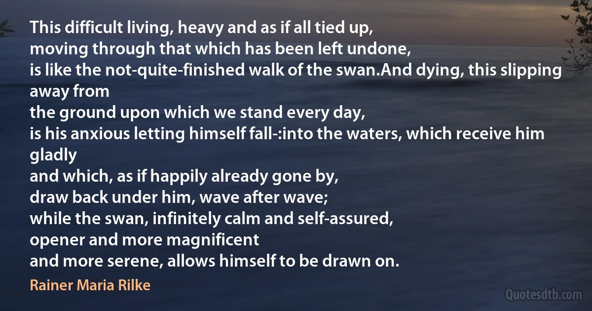 This difficult living, heavy and as if all tied up,
moving through that which has been left undone,
is like the not-quite-finished walk of the swan.And dying, this slipping away from
the ground upon which we stand every day,
is his anxious letting himself fall-:into the waters, which receive him gladly
and which, as if happily already gone by,
draw back under him, wave after wave;
while the swan, infinitely calm and self-assured,
opener and more magnificent
and more serene, allows himself to be drawn on. (Rainer Maria Rilke)