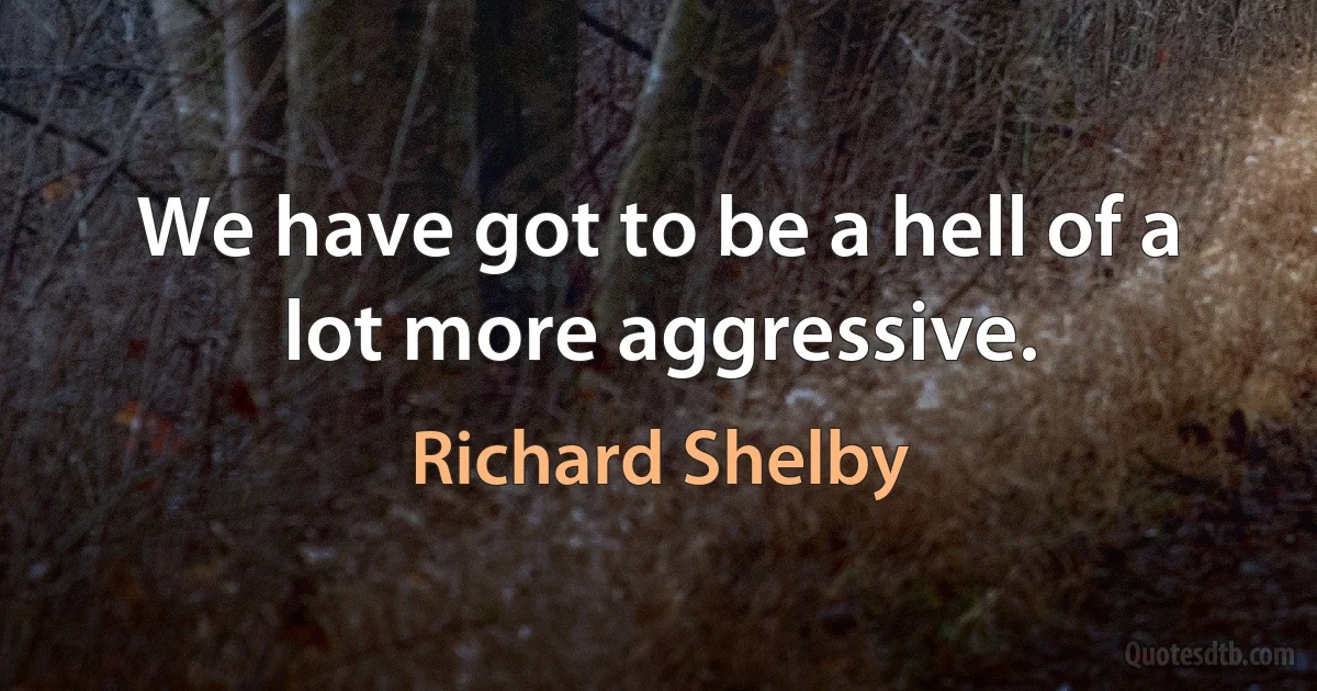 We have got to be a hell of a lot more aggressive. (Richard Shelby)