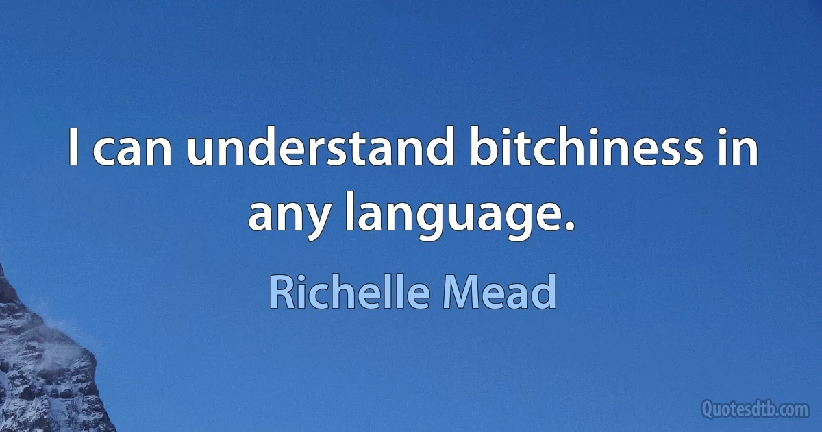 I can understand bitchiness in any language. (Richelle Mead)