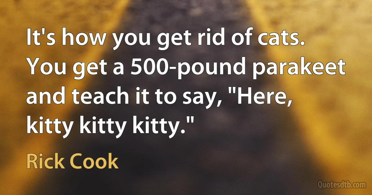 It's how you get rid of cats. You get a 500-pound parakeet and teach it to say, "Here, kitty kitty kitty." (Rick Cook)