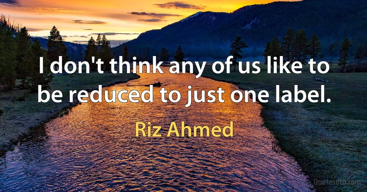 I don't think any of us like to be reduced to just one label. (Riz Ahmed)