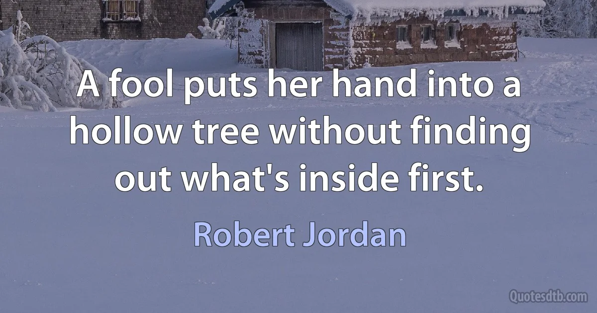 A fool puts her hand into a hollow tree without finding out what's inside first. (Robert Jordan)