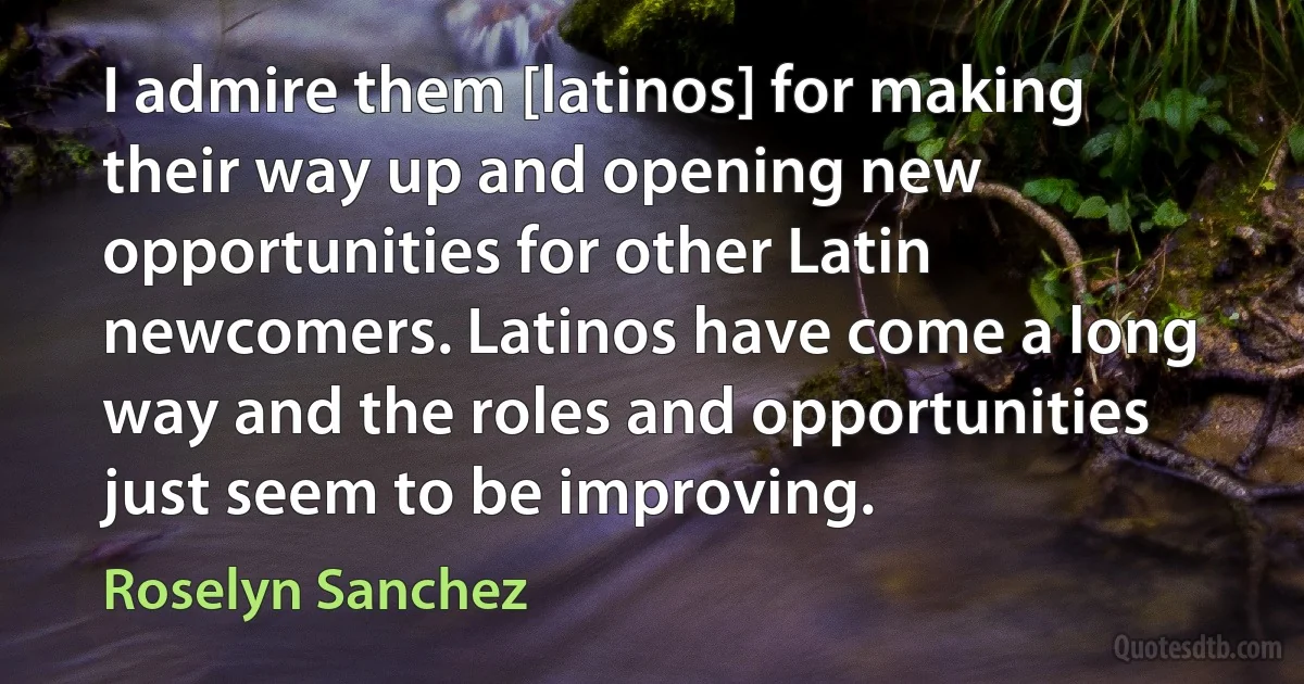 I admire them [latinos] for making their way up and opening new opportunities for other Latin newcomers. Latinos have come a long way and the roles and opportunities just seem to be improving. (Roselyn Sanchez)