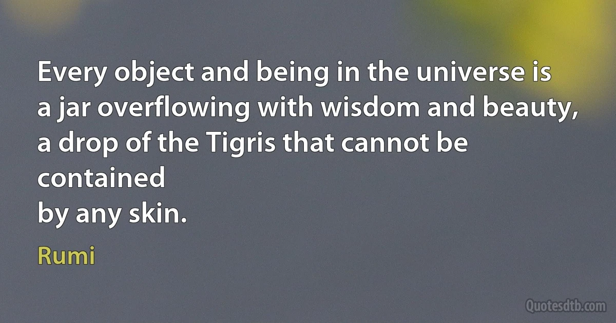 Every object and being in the universe is
a jar overflowing with wisdom and beauty,
a drop of the Tigris that cannot be contained
by any skin. (Rumi)