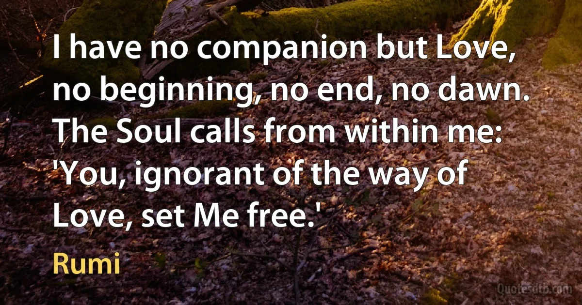 I have no companion but Love, no beginning, no end, no dawn. The Soul calls from within me: 'You, ignorant of the way of Love, set Me free.' (Rumi)