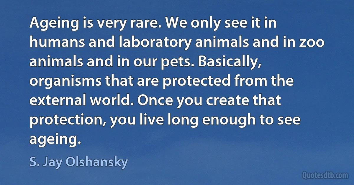 Ageing is very rare. We only see it in humans and laboratory animals and in zoo animals and in our pets. Basically, organisms that are protected from the external world. Once you create that protection, you live long enough to see ageing. (S. Jay Olshansky)