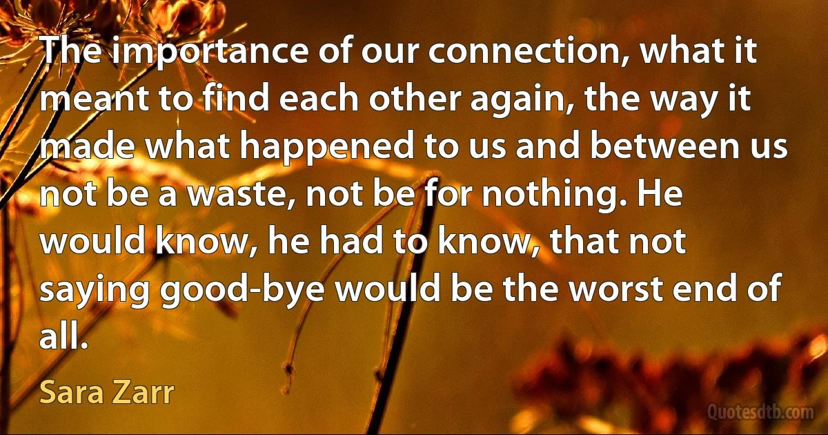 The importance of our connection, what it meant to find each other again, the way it made what happened to us and between us not be a waste, not be for nothing. He would know, he had to know, that not saying good-bye would be the worst end of all. (Sara Zarr)