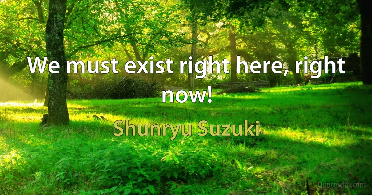 We must exist right here, right now! (Shunryu Suzuki)