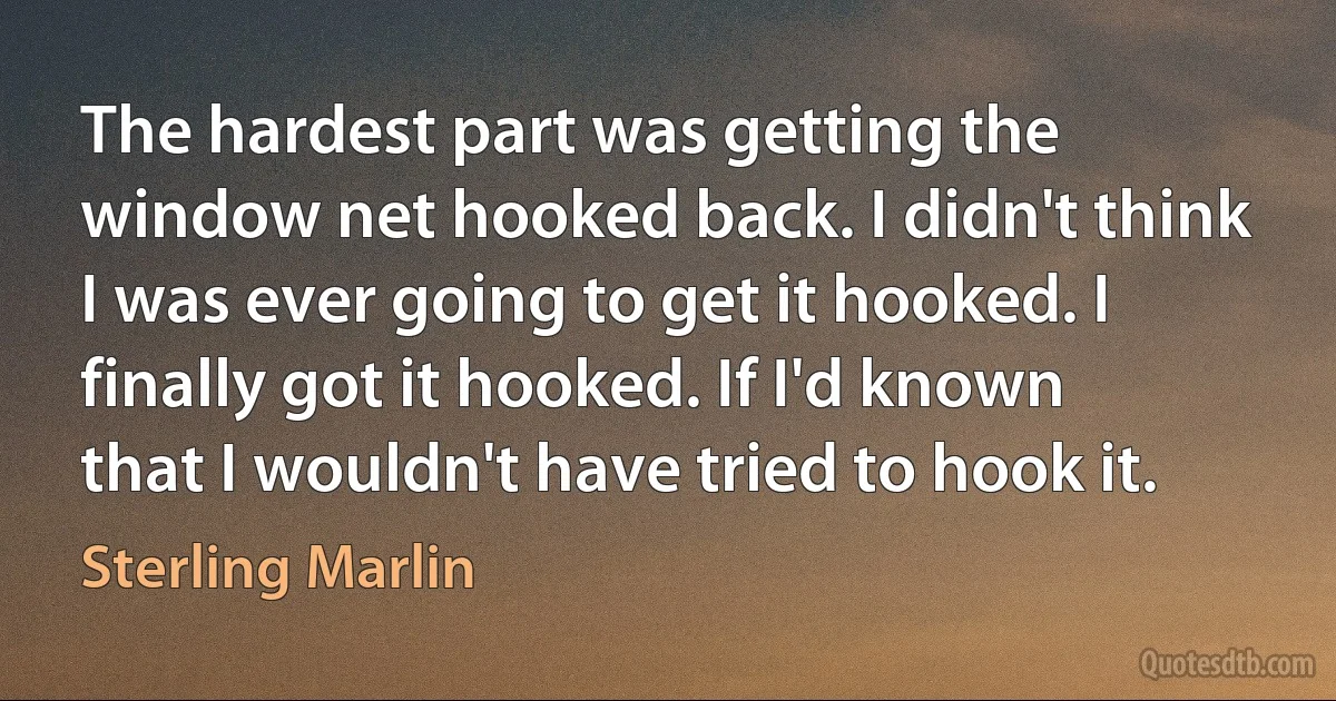 The hardest part was getting the window net hooked back. I didn't think I was ever going to get it hooked. I finally got it hooked. If I'd known that I wouldn't have tried to hook it. (Sterling Marlin)