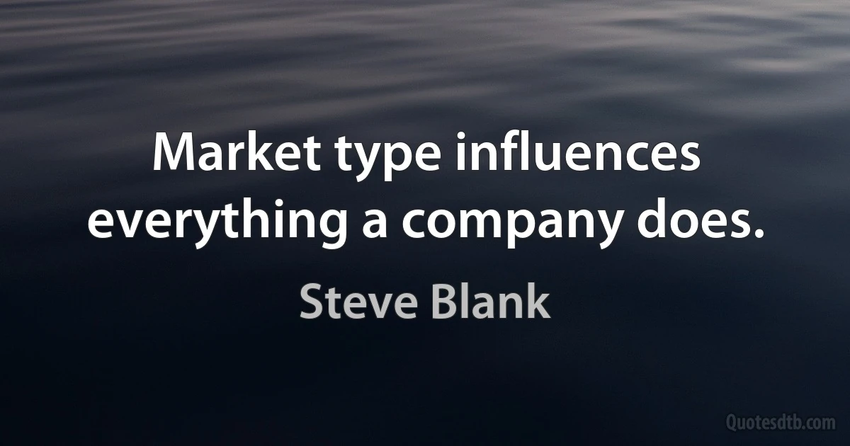 Market type influences everything a company does. (Steve Blank)