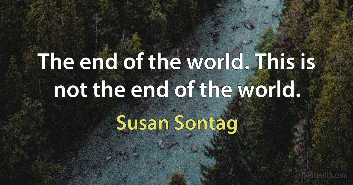 The end of the world. This is not the end of the world. (Susan Sontag)