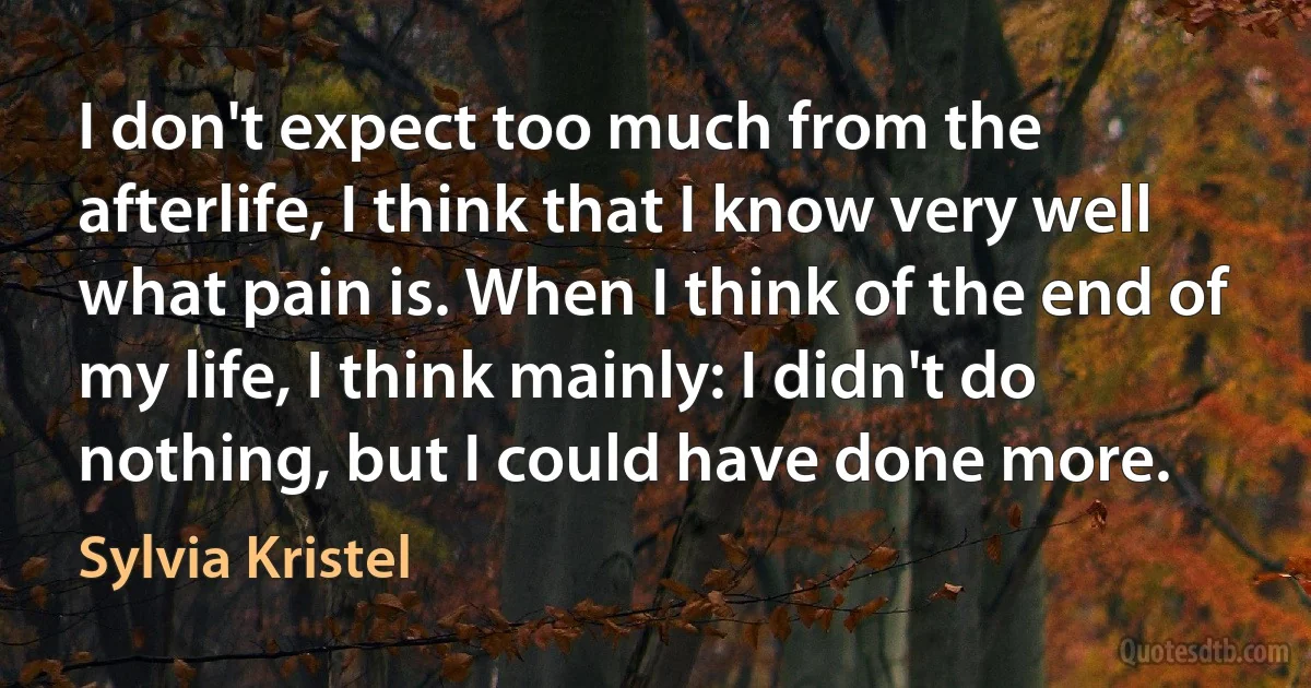 I don't expect too much from the afterlife, I think that I know very well what pain is. When I think of the end of my life, I think mainly: I didn't do nothing, but I could have done more. (Sylvia Kristel)