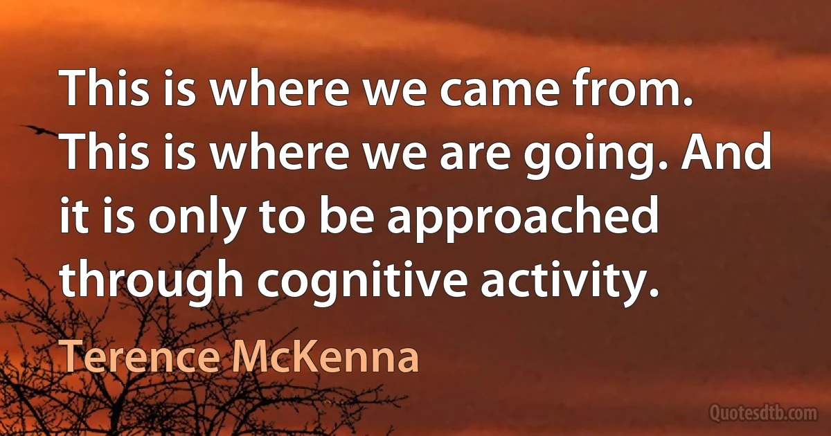 This is where we came from. This is where we are going. And it is only to be approached through cognitive activity. (Terence McKenna)