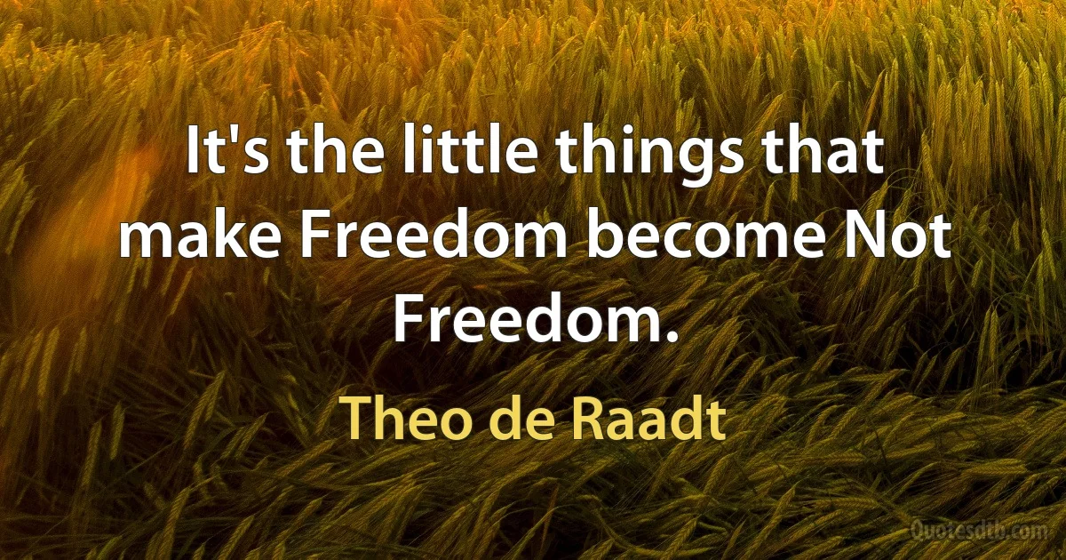 It's the little things that make Freedom become Not Freedom. (Theo de Raadt)