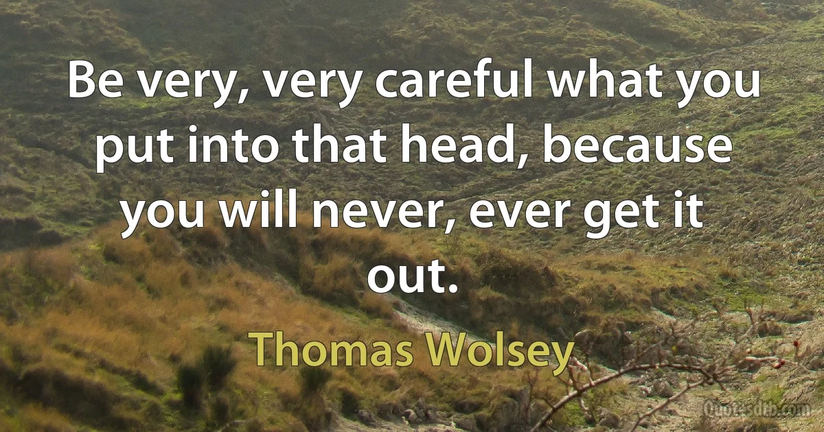 Be very, very careful what you put into that head, because you will never, ever get it out. (Thomas Wolsey)