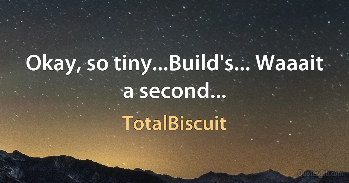 Okay, so tiny...Build's... Waaait a second... (TotalBiscuit)