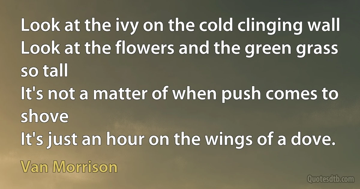 Look at the ivy on the cold clinging wall
Look at the flowers and the green grass so tall
It's not a matter of when push comes to shove
It's just an hour on the wings of a dove. (Van Morrison)