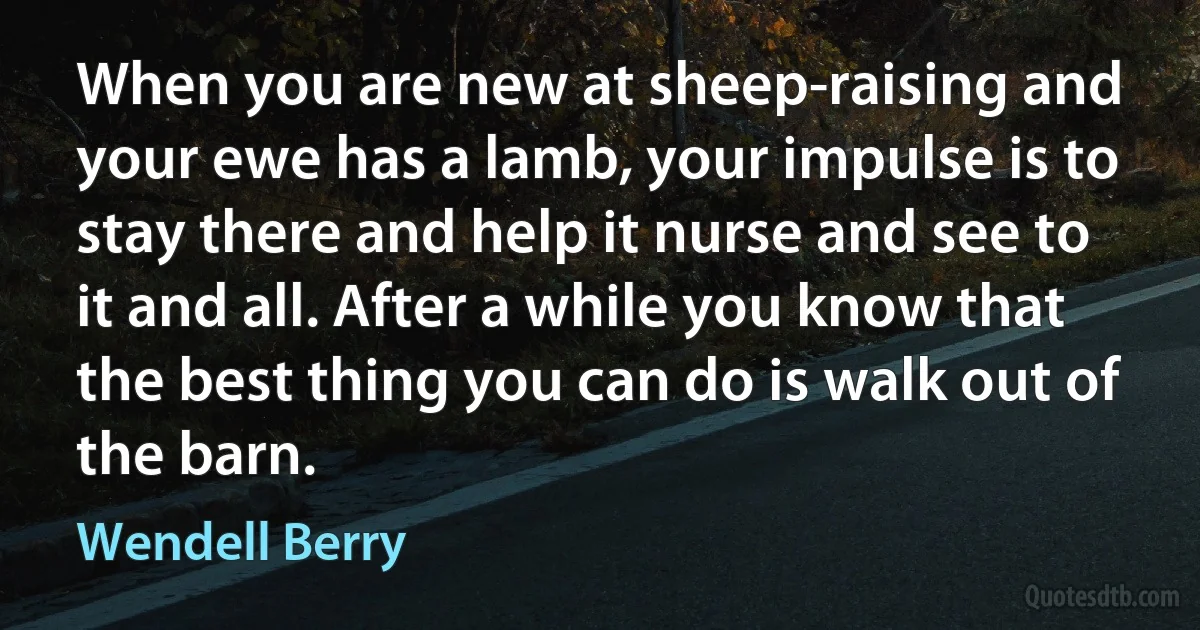 When you are new at sheep-raising and your ewe has a lamb, your impulse is to stay there and help it nurse and see to it and all. After a while you know that the best thing you can do is walk out of the barn. (Wendell Berry)