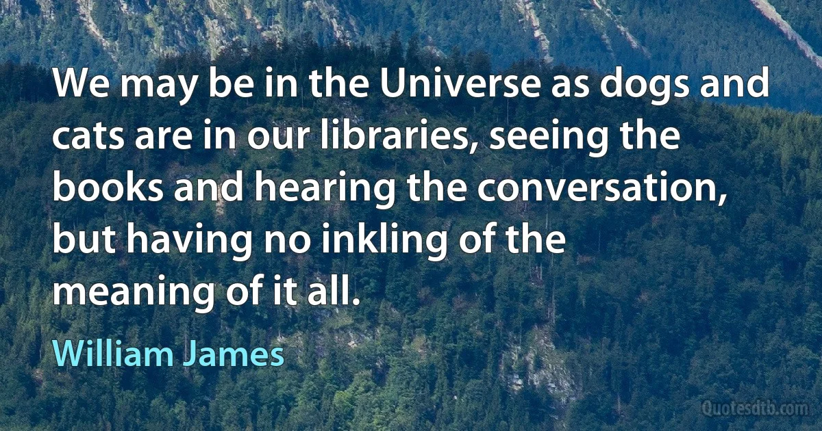 We may be in the Universe as dogs and cats are in our libraries, seeing the books and hearing the conversation, but having no inkling of the
meaning of it all. (William James)