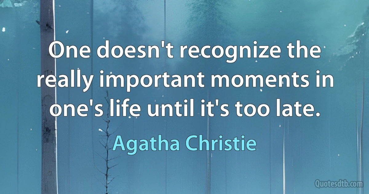 One doesn't recognize the really important moments in one's life until it's too late. (Agatha Christie)