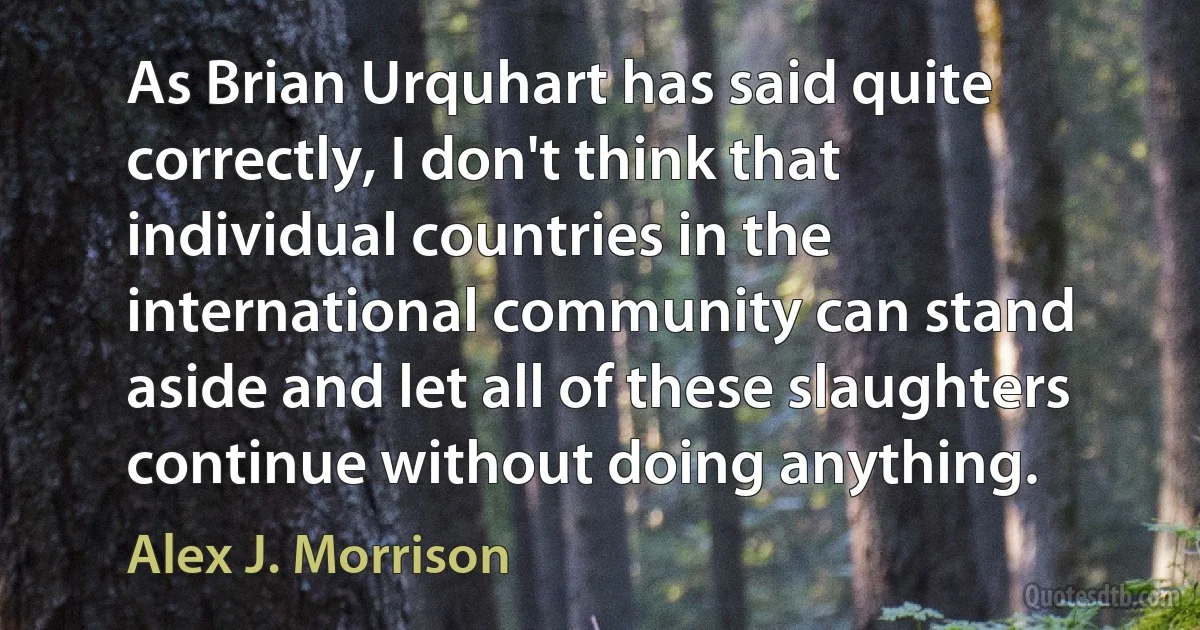 As Brian Urquhart has said quite correctly, I don't think that individual countries in the international community can stand aside and let all of these slaughters continue without doing anything. (Alex J. Morrison)