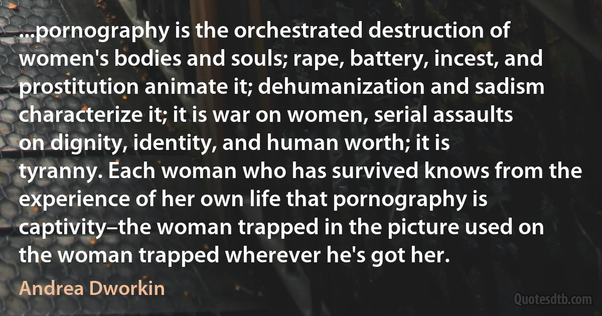 ...pornography is the orchestrated destruction of women's bodies and souls; rape, battery, incest, and prostitution animate it; dehumanization and sadism characterize it; it is war on women, serial assaults on dignity, identity, and human worth; it is tyranny. Each woman who has survived knows from the experience of her own life that pornography is captivity–the woman trapped in the picture used on the woman trapped wherever he's got her. (Andrea Dworkin)