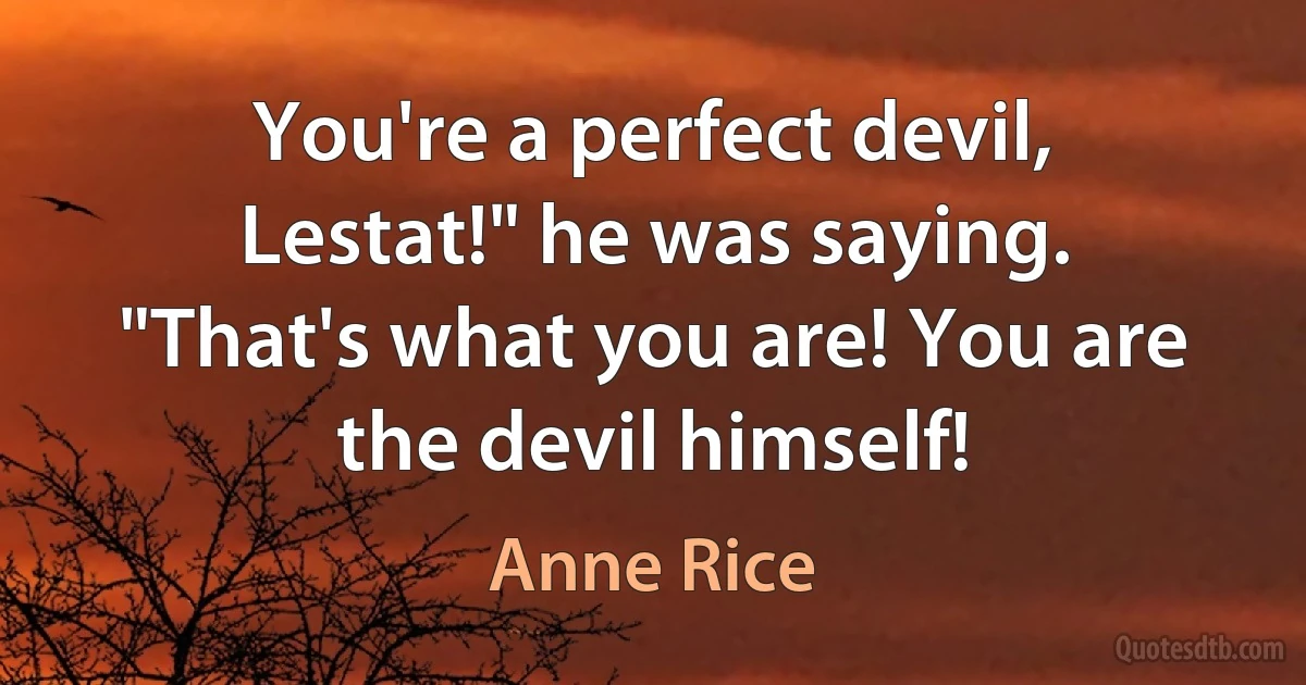 You're a perfect devil, Lestat!" he was saying. "That's what you are! You are the devil himself! (Anne Rice)