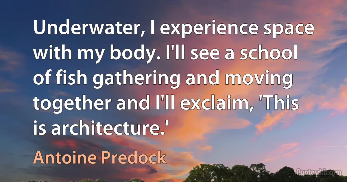 Underwater, I experience space with my body. I'll see a school of fish gathering and moving together and I'll exclaim, 'This is architecture.' (Antoine Predock)