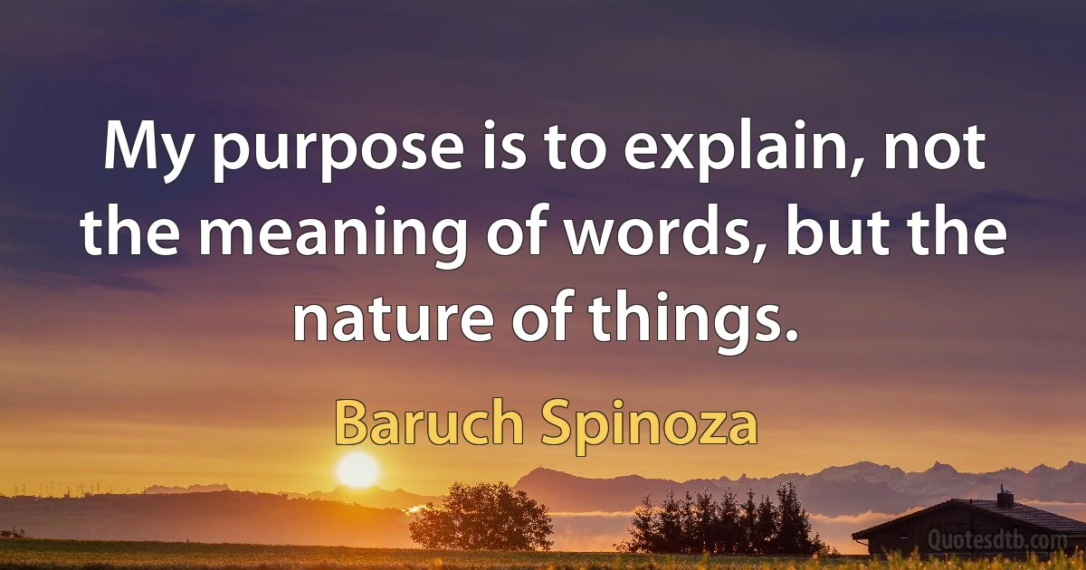 My purpose is to explain, not the meaning of words, but the nature of things. (Baruch Spinoza)