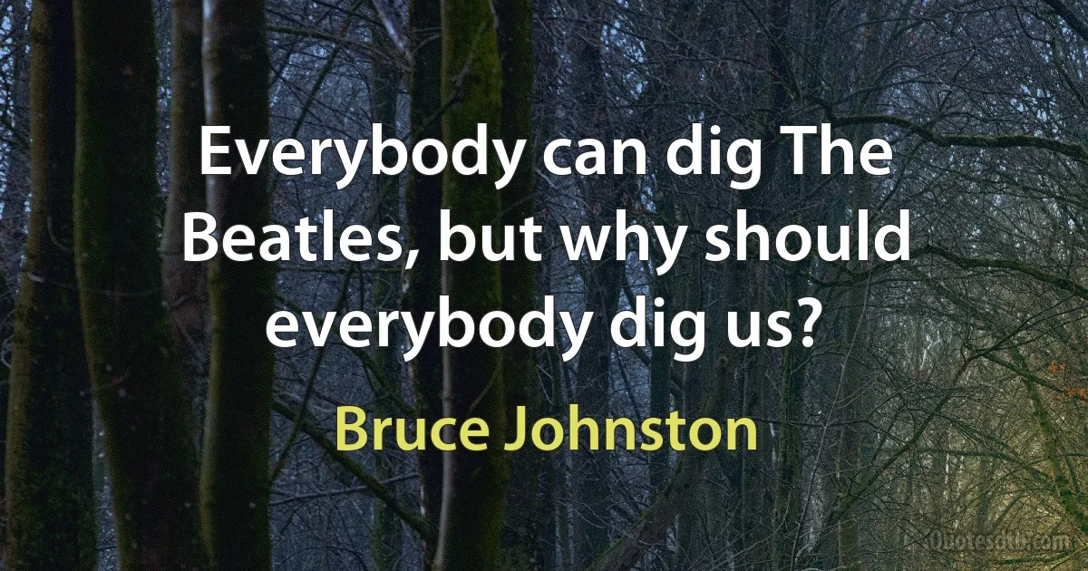 Everybody can dig The Beatles, but why should everybody dig us? (Bruce Johnston)