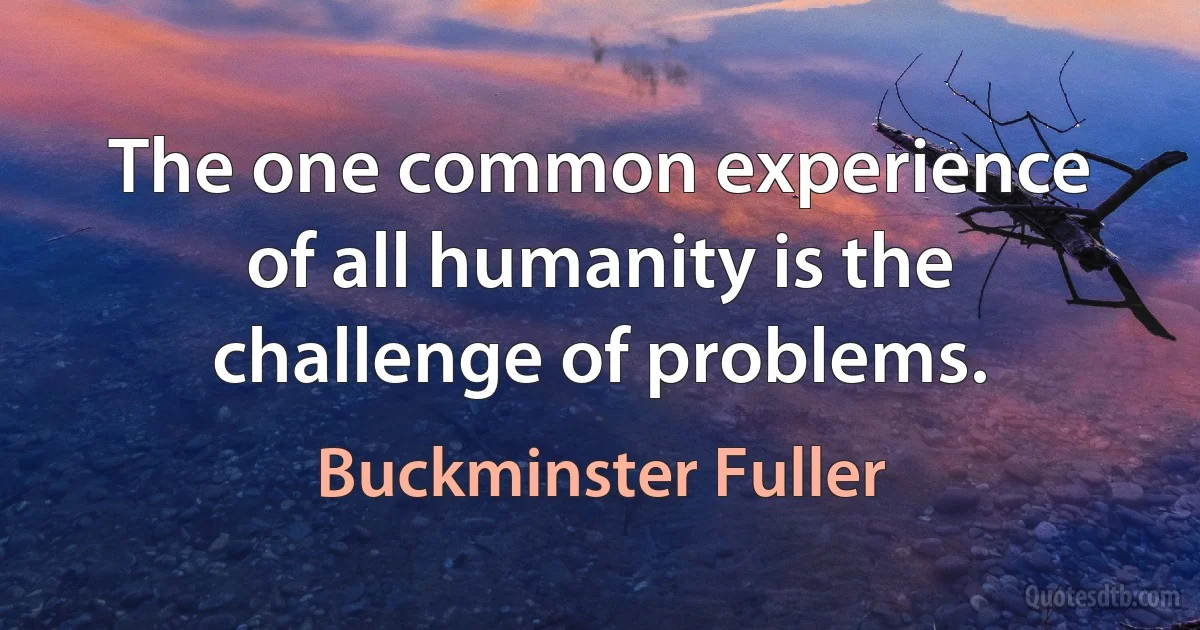 The one common experience of all humanity is the challenge of problems. (Buckminster Fuller)