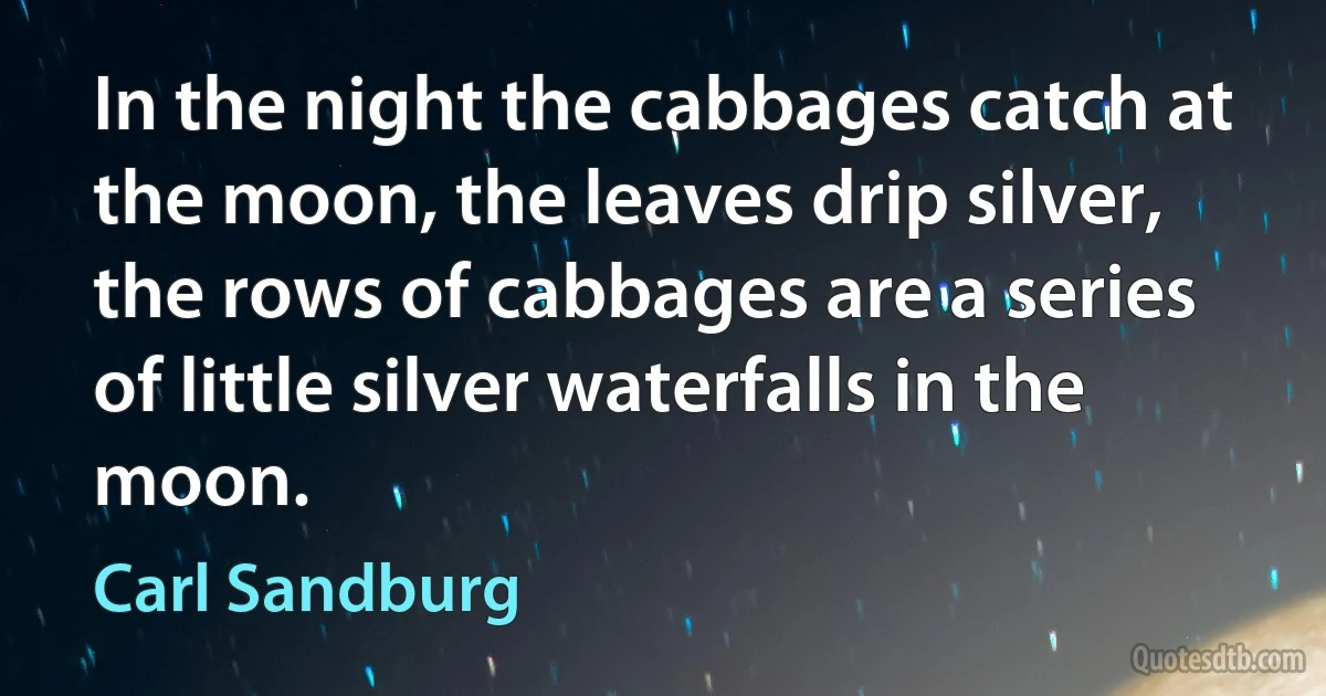 In the night the cabbages catch at the moon, the leaves drip silver, the rows of cabbages are a series of little silver waterfalls in the moon. (Carl Sandburg)