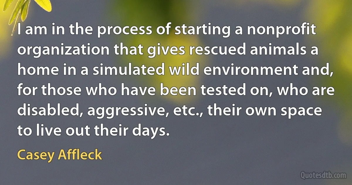 I am in the process of starting a nonprofit organization that gives rescued animals a home in a simulated wild environment and, for those who have been tested on, who are disabled, aggressive, etc., their own space to live out their days. (Casey Affleck)