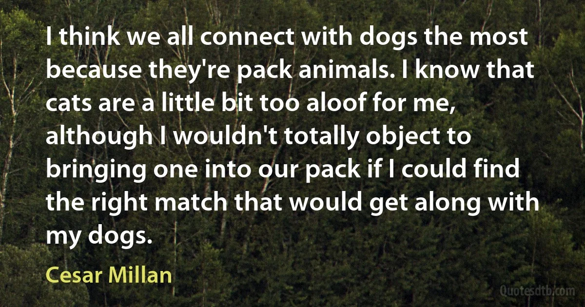 I think we all connect with dogs the most because they're pack animals. I know that cats are a little bit too aloof for me, although I wouldn't totally object to bringing one into our pack if I could find the right match that would get along with my dogs. (Cesar Millan)