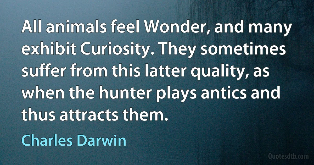 All animals feel Wonder, and many exhibit Curiosity. They sometimes suffer from this latter quality, as when the hunter plays antics and thus attracts them. (Charles Darwin)