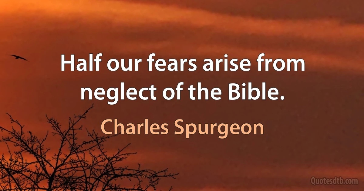 Half our fears arise from neglect of the Bible. (Charles Spurgeon)