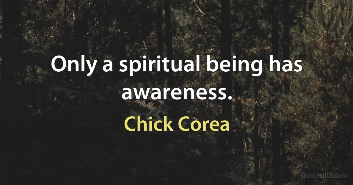 Only a spiritual being has awareness. (Chick Corea)