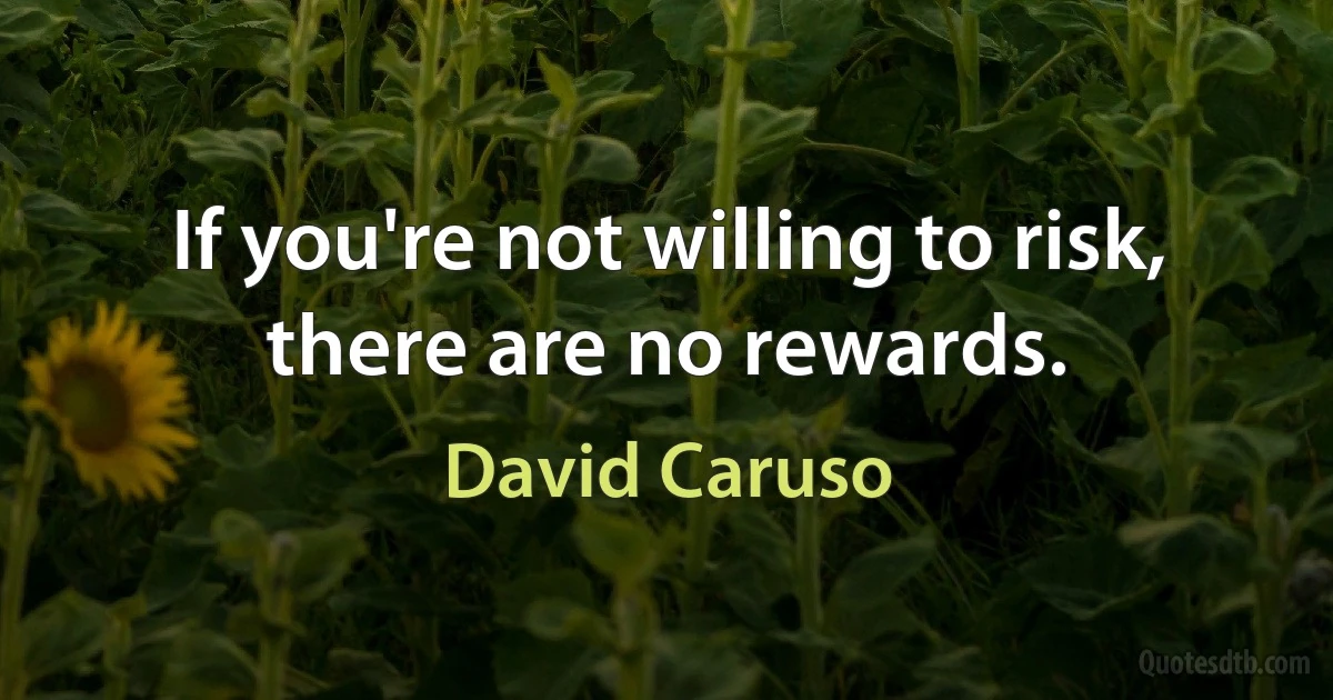 If you're not willing to risk, there are no rewards. (David Caruso)