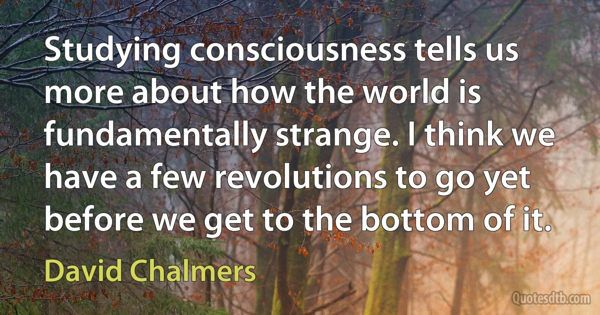 Studying consciousness tells us more about how the world is fundamentally strange. I think we have a few revolutions to go yet before we get to the bottom of it. (David Chalmers)