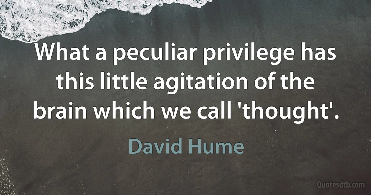 What a peculiar privilege has this little agitation of the brain which we call 'thought'. (David Hume)