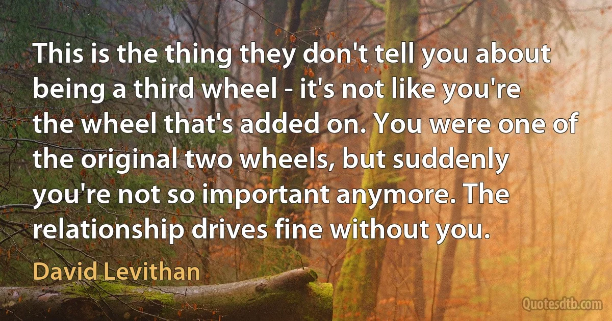 This is the thing they don't tell you about being a third wheel - it's not like you're the wheel that's added on. You were one of the original two wheels, but suddenly you're not so important anymore. The relationship drives fine without you. (David Levithan)