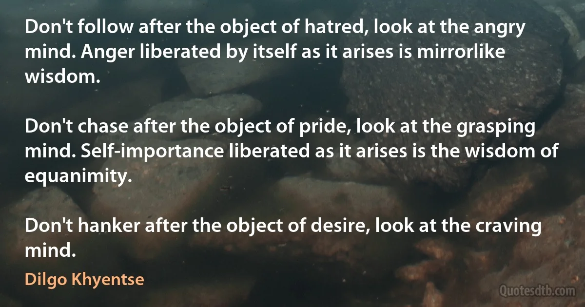 Don't follow after the object of hatred, look at the angry mind. Anger liberated by itself as it arises is mirrorlike wisdom.

Don't chase after the object of pride, look at the grasping mind. Self-importance liberated as it arises is the wisdom of equanimity.

Don't hanker after the object of desire, look at the craving mind. (Dilgo Khyentse)