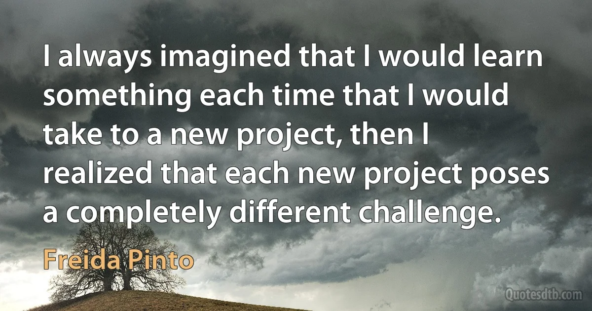 I always imagined that I would learn something each time that I would take to a new project, then I realized that each new project poses a completely different challenge. (Freida Pinto)