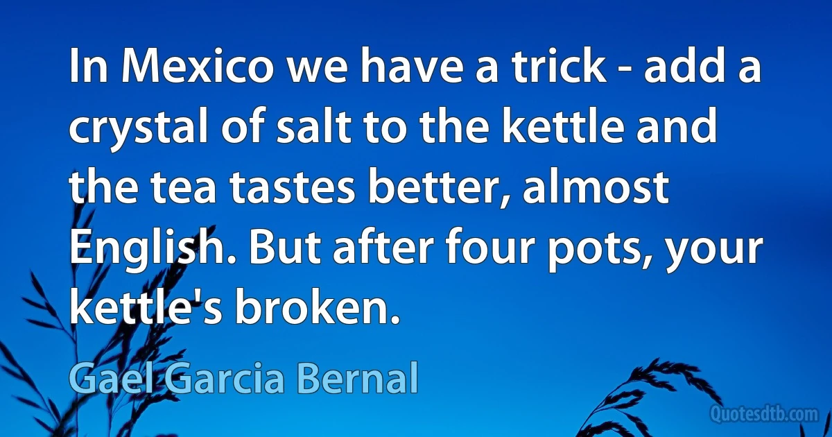 In Mexico we have a trick - add a crystal of salt to the kettle and the tea tastes better, almost English. But after four pots, your kettle's broken. (Gael Garcia Bernal)