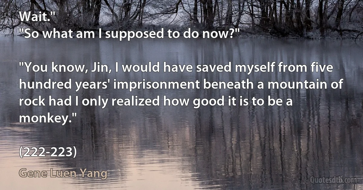 Wait."
"So what am I supposed to do now?"

"You know, Jin, I would have saved myself from five hundred years' imprisonment beneath a mountain of rock had I only realized how good it is to be a monkey."

(222-223) (Gene Luen Yang)