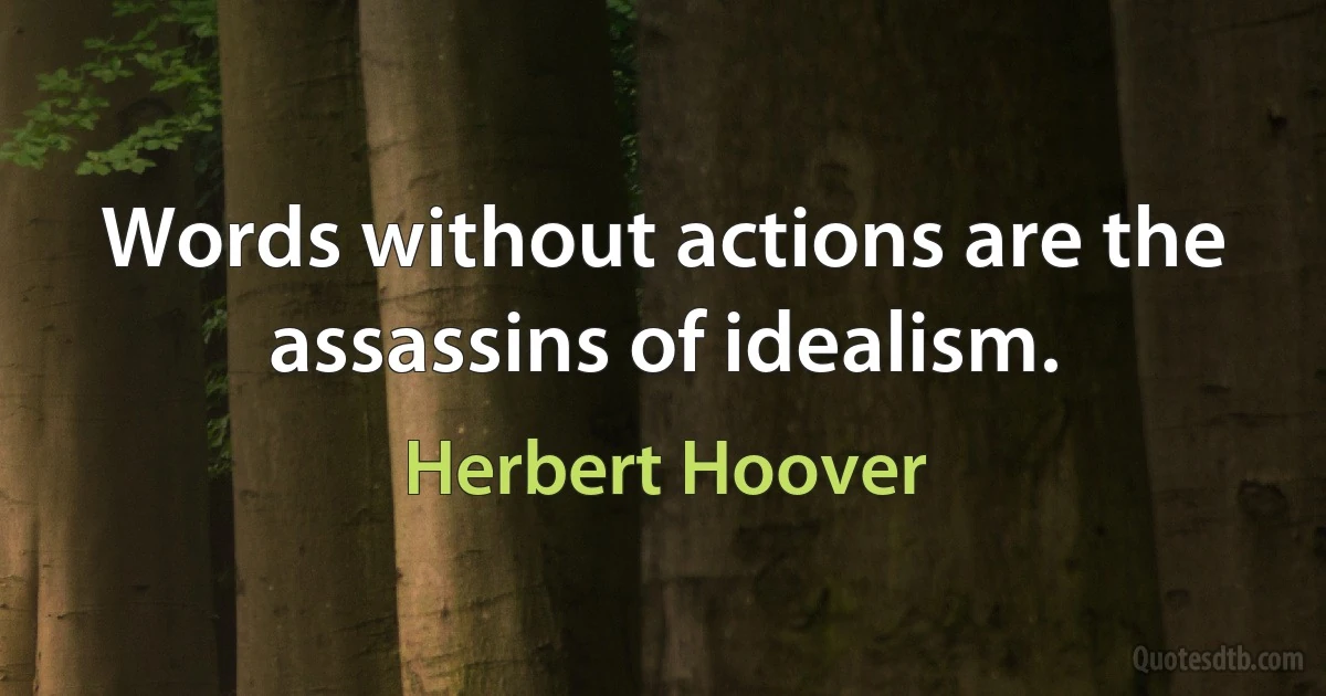 Words without actions are the assassins of idealism. (Herbert Hoover)