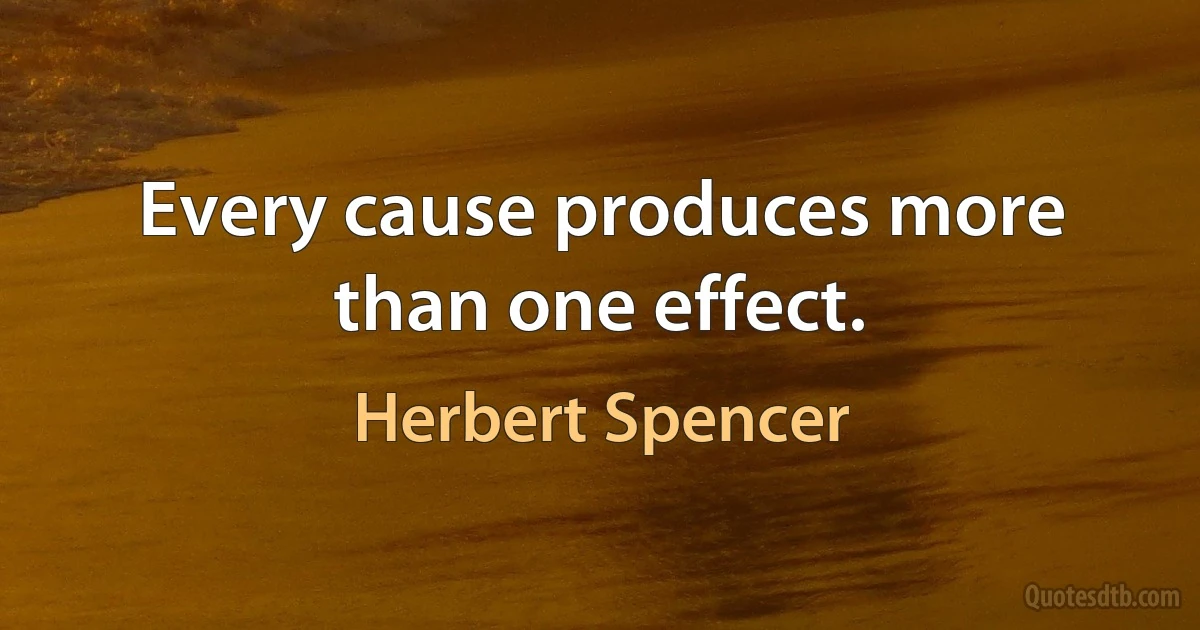 Every cause produces more than one effect. (Herbert Spencer)